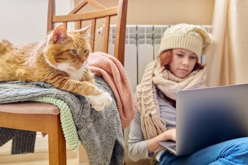 Why Is My Furnace Blowing Cold Air? - Girl With Her Cat.